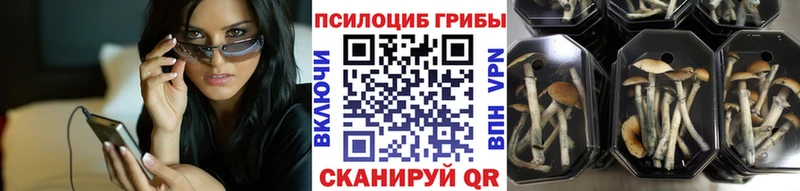 Галлюциногенные грибы GOLDEN TEACHER  цены наркотик  Демидов 